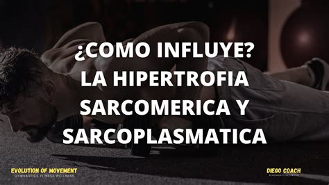 Como Influye La Hipertrofia Sarcomerica Vs Sarcoplasmatica Youtube