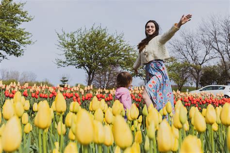 The Complete Travel Guide: Holland, Michigan — Searra Liggett