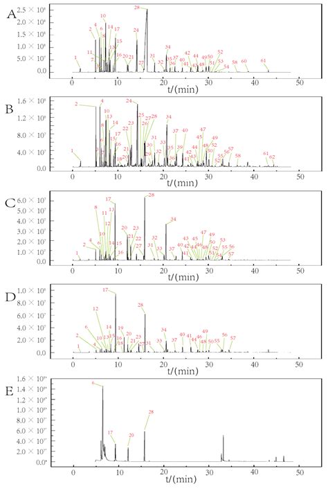 The Discrimination And Characterization Of Volatile Organic Compounds In Different Areas Of