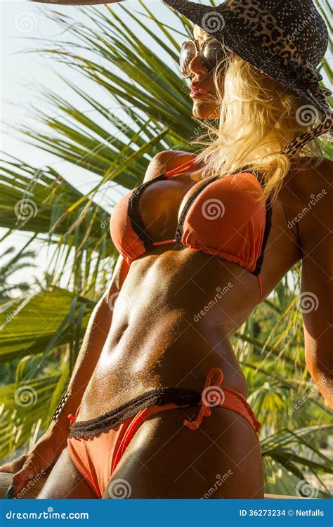 Woman In Bikini At Tropical Resort Stock Photo Image Of Pretty