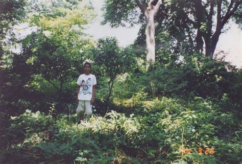 Perseverance – Bruce’s Garden