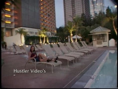 Hardcore Vault 8 2006 Adult Empire