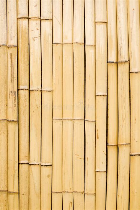 bamboo wall stock image image  construction nature