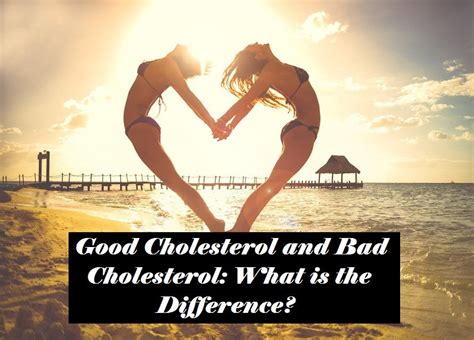 Good Cholesterol Vs Bad Cholesterol Pure Science Supplements