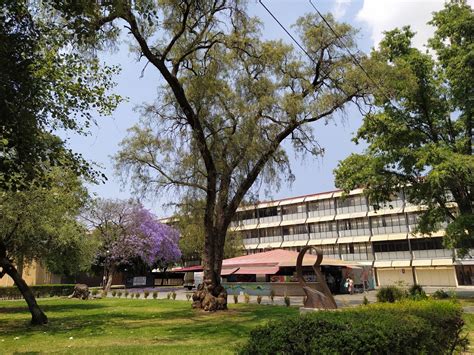 ESIQIE Escuela Superior de Ingeniería Química e Industrias