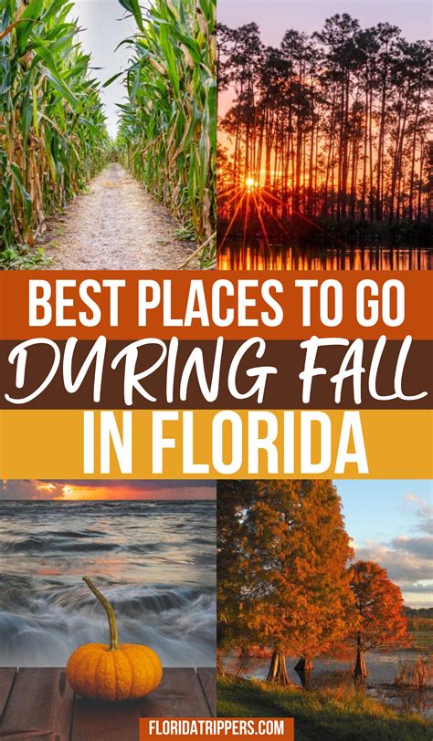 Florida in fall what to do and where to go – Artofit
