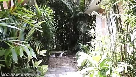 Savana Blue Anal Delivery For Savana Mom Porn XHamster