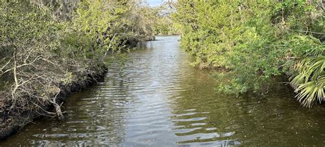 Intracoastal Waterway Trail, Florida - 442 Reviews, Map | AllTrails