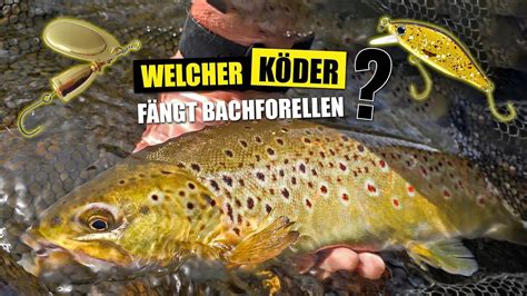 Wobbler vs Spinner Welcher Köder fängt Bachforellen YouTube