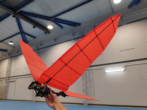 GRIFFIN ERC Advanced Grant project on LinkedIn: Outdoor and indoor