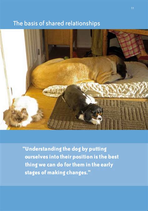 Understanding the Silent Communication of Dogs | Laid Back Dogs