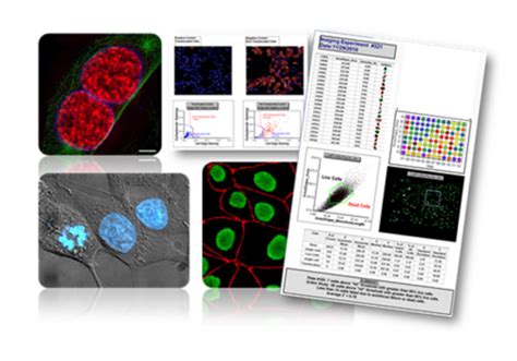 Image Cytometry