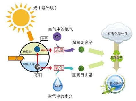 石墨烯光催化材料及其在环境净化领域的应用凤凰网