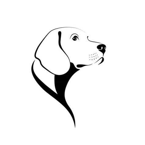 Dog Nose On White Illustrations, Royalty-Free Vector Graphics & Clip ...