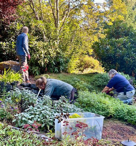 How to get involved with the local karen salvage team today 14