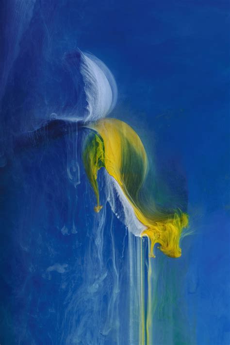 Out Of This World Flower Photography By Angi Wallace Amateur Photographer