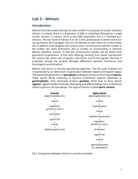 BIO1140 Meiosis Intro 2023 Lab 3 Meiosis Introduction Meiosis From