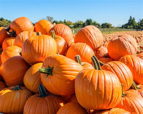 A massive flash sale just started at new york and co 36