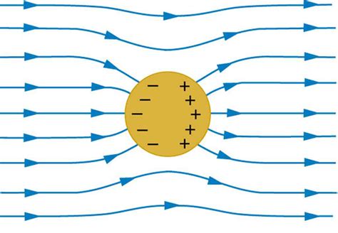 Homework And Exercises Why Do Electric Field Lines Start And End At