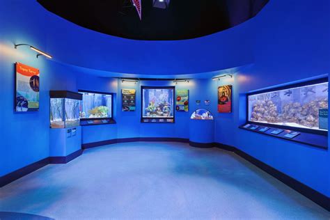 Changing Tides Exhibit Mississippi Aquarium Andercorp