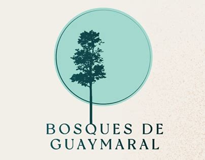 Conaf Bosques Projects Photos Videos Logos Illustrations And