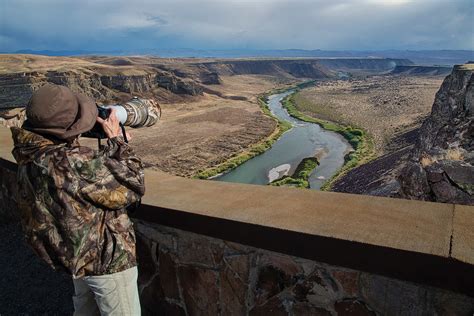 morley nelson snake river birds  prey national conservat flickr