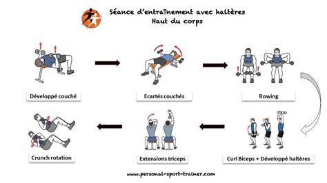 Exercices Avec Haltères Programme De Musculation Tous Niveaux Exercice Avec Haltere