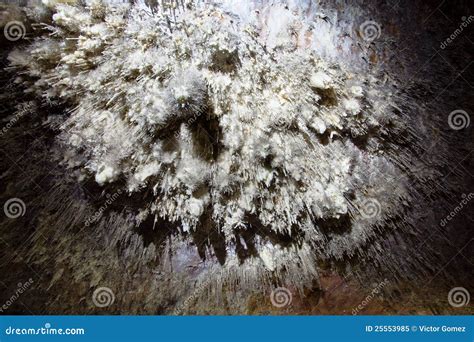 Detail of helictites stock image. Image of cave, helictites - 25553985