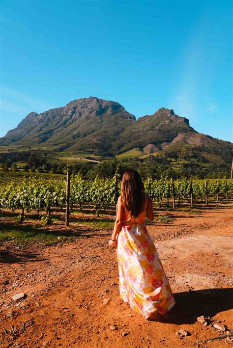 A Guide to the Best Stellenbosch Wine Tours - Dutchbloggeronthemove