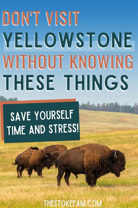 When You Re Planning A Trip To Yellowstone There Are A Lot Of Things To Figure Out Where