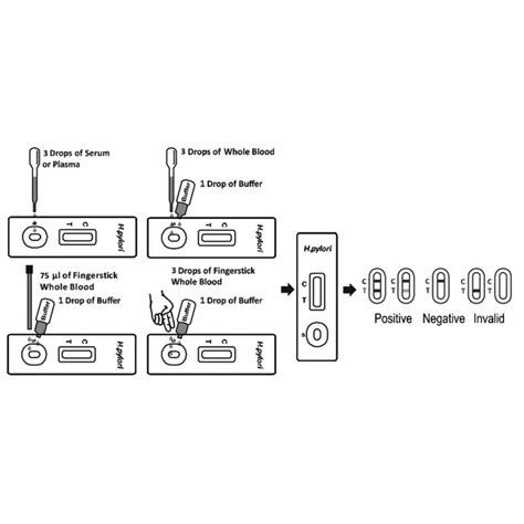 Test Rapido Professionale Per Ulcera Elicobacter Pylori 40pz