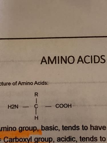 Chem Amino Acids Proteins Flashcards Quizlet