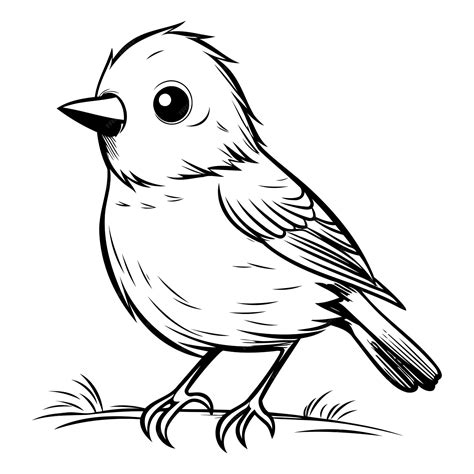 Finch Black and White Cartoon Illustration Isolated on White Background
