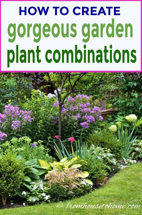 Garden Color Schemes (How To Create Gorgeous Garden Color Combinations ...