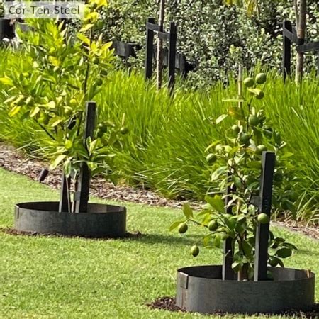 Corten Tree Surrounds Cor Ten Steel