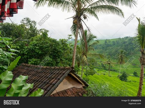 Jatiluwih, Bali Image & Photo (Free Trial) | Bigstock