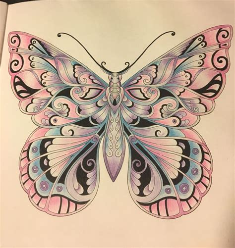 Magical Jungle Butterfly Johanna Basford Coloring Butterfly Art