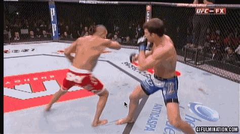  Of Vitor Belforts Spinning Heel Kick To The Head Ko Of Luke