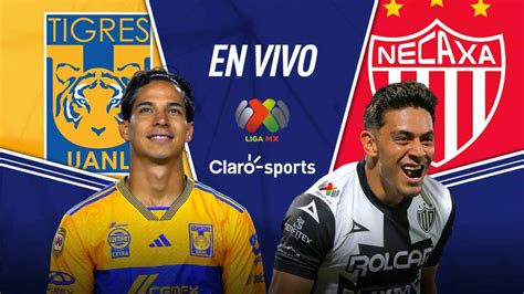 Necaxa Vs Monterrey EN VIVO Por Clausura 2024 Liga MX Minuto A