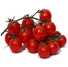 LE PETIT PRIMEUR ACTION TOMATE CERISE GRAPPE