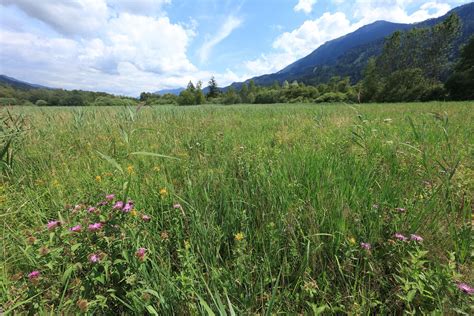 Habitat Optimierung 03 Biodiversitätsfonds