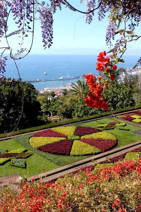 Uma Ilha Deslumbrante Festival De Flores De Madeira Flores E Flores