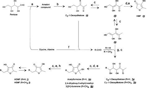 Hypothetical Formation Pathway Of HDMF 1 And HEMF 2 From Pentoses