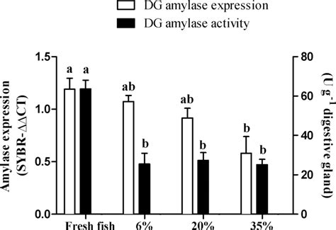 Alpha Amylase Activity And Gene Expression In The Digestive Gland Dg Download Scientific