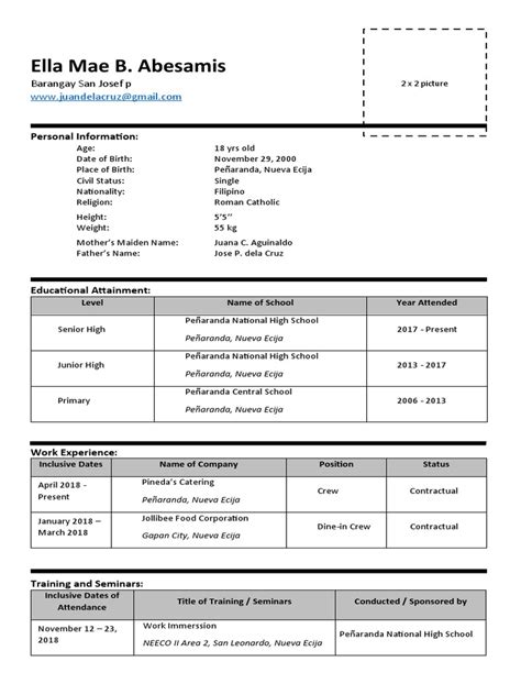 Immersion Resume Format Pdf