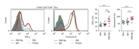 Assessing The Role Of Ebi3 Blocking In Antitumor Ctl Response By Flow