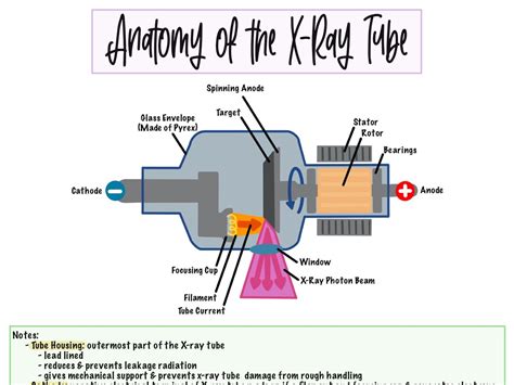 X Ray Tube Components Cheat Sheet Etsy