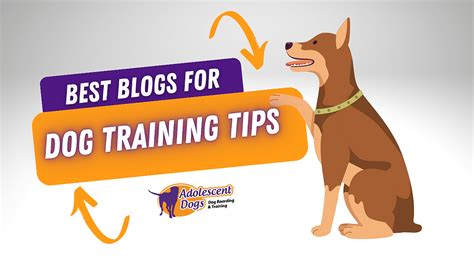 Dog Training Tips