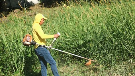 Internos del Plan Cero Ocio dan mantenimiento a áreas verdes de la