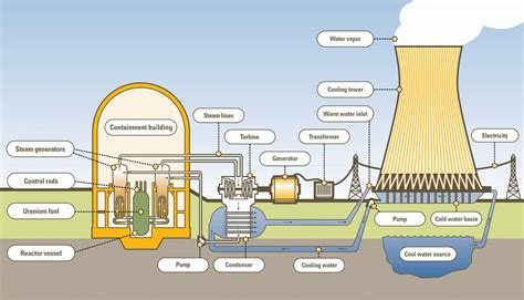 A school of fish: Nuclear Power Plant Model